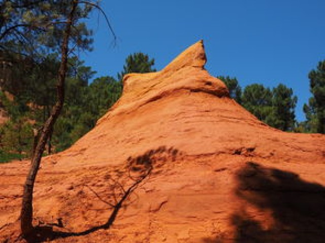 米兰体育官网平台-一日英超动态阿莫林自信发声转会话题升温，阿莫子林